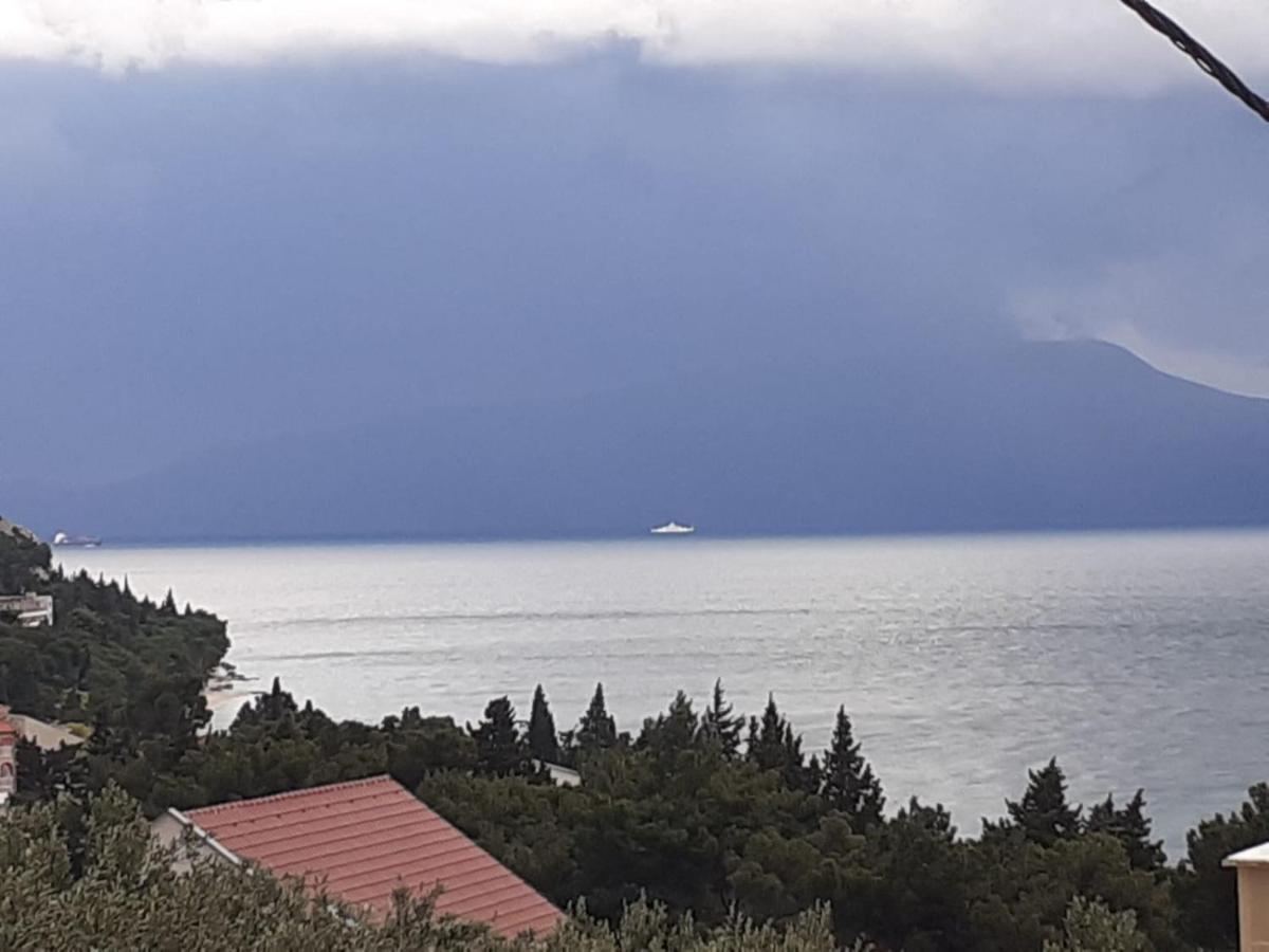 Apartments With A Parking Space Gradac, Makarska - 11332 Gradac  Buitenkant foto